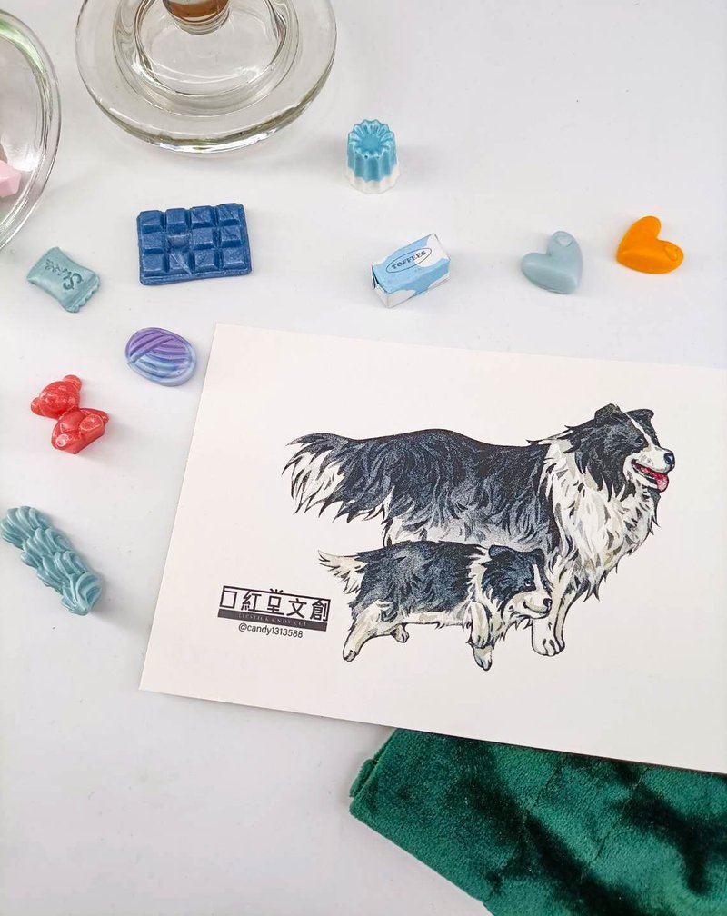KR474_口紅堂明信片_邊境牧羊犬5_candy1313588 postcard - 卡片/明信片 - 紙 多色