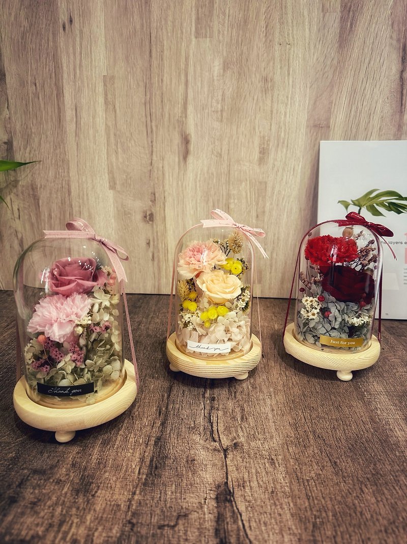 Everlasting Carnation Bell Night Light Style Dried Flower/Birthday Gift/Mother’s Day - ช่อดอกไม้แห้ง - พืช/ดอกไม้ 