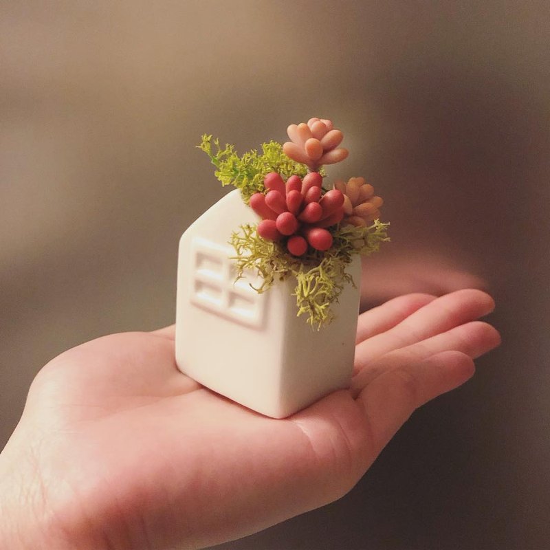 乙女心 桃之卵。仿真黏土多肉植物_小屋造型盆栽 - 擺飾/家飾品 - 黏土 紅色