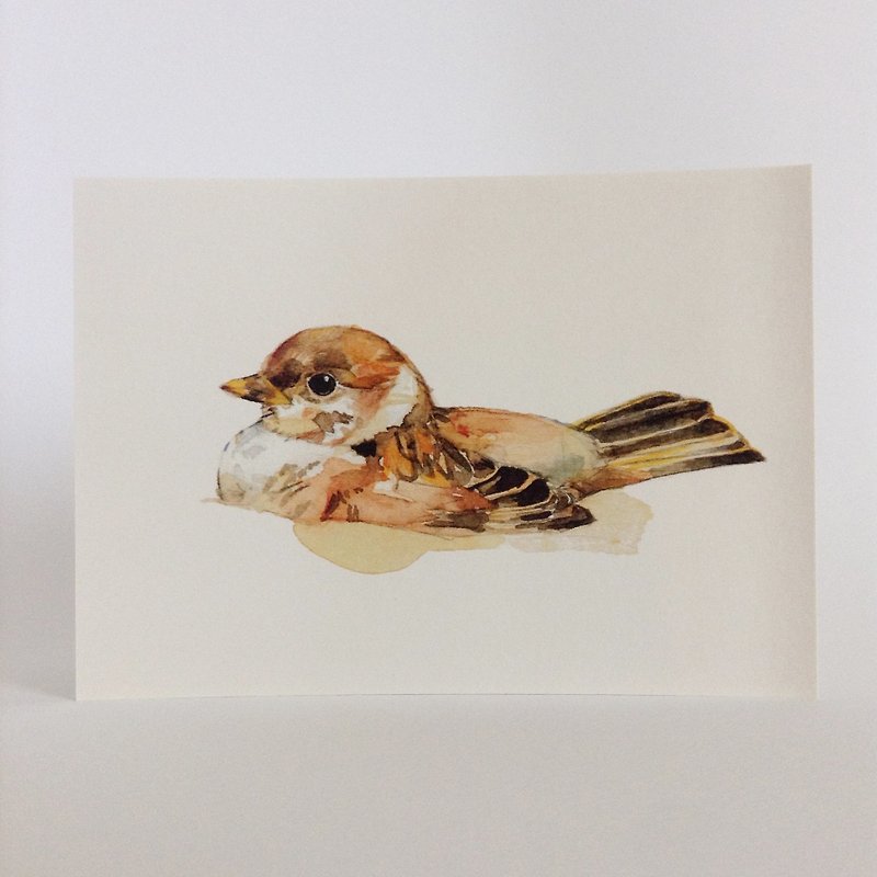 Bird ‧ postcard ‧0007 - Cards & Postcards - Paper 