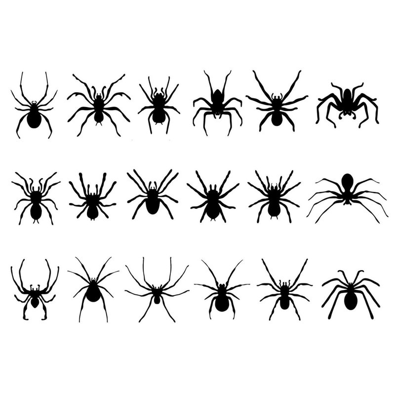 Spider svg, spiders svg, spider eps, spider template, spider png, spiders png - 圖文模板設計 - 其他材質 