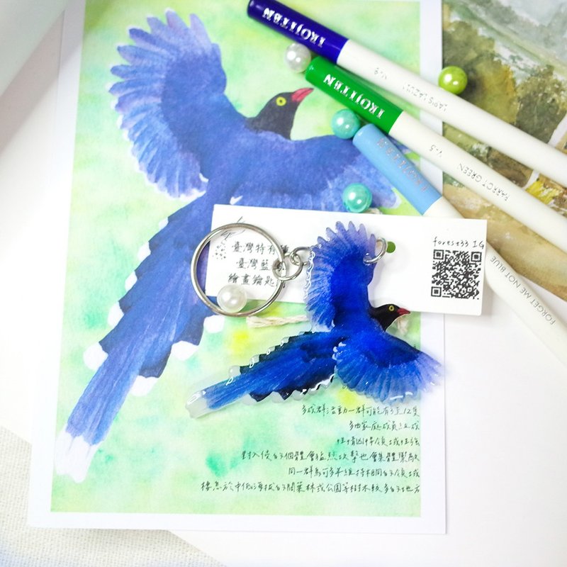 臺灣特有種 臺灣藍鵲 繪畫鑰匙圈 - 鑰匙圈/鑰匙包 - 防水材質 藍色