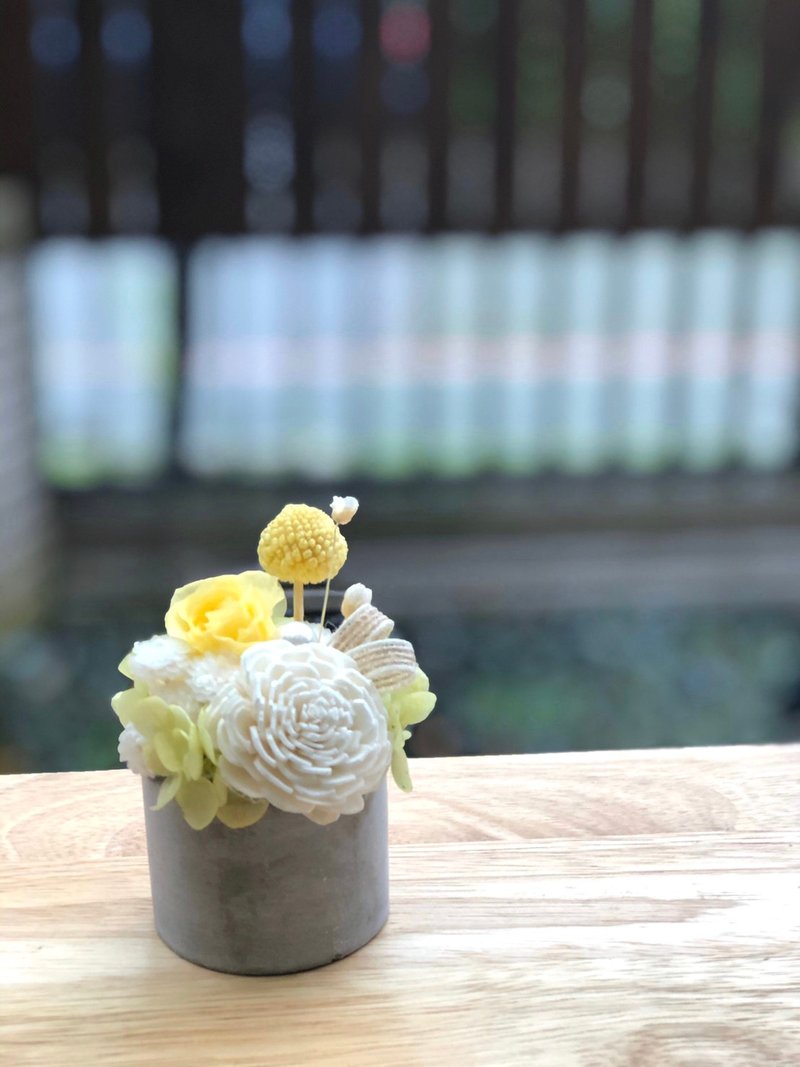 Hello  不凋花 永生花 小花盅禮盒組 姊妹禮物 - 乾燥花/永生花 - 植物．花 多色