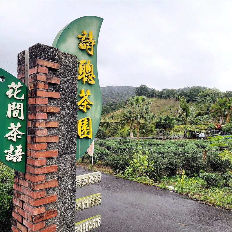 【快速出貨】宜蘭冬山-花間茶語-精選一級原片茶葉 - 茶葉/茶包/水果茶 - 植物．花 卡其色