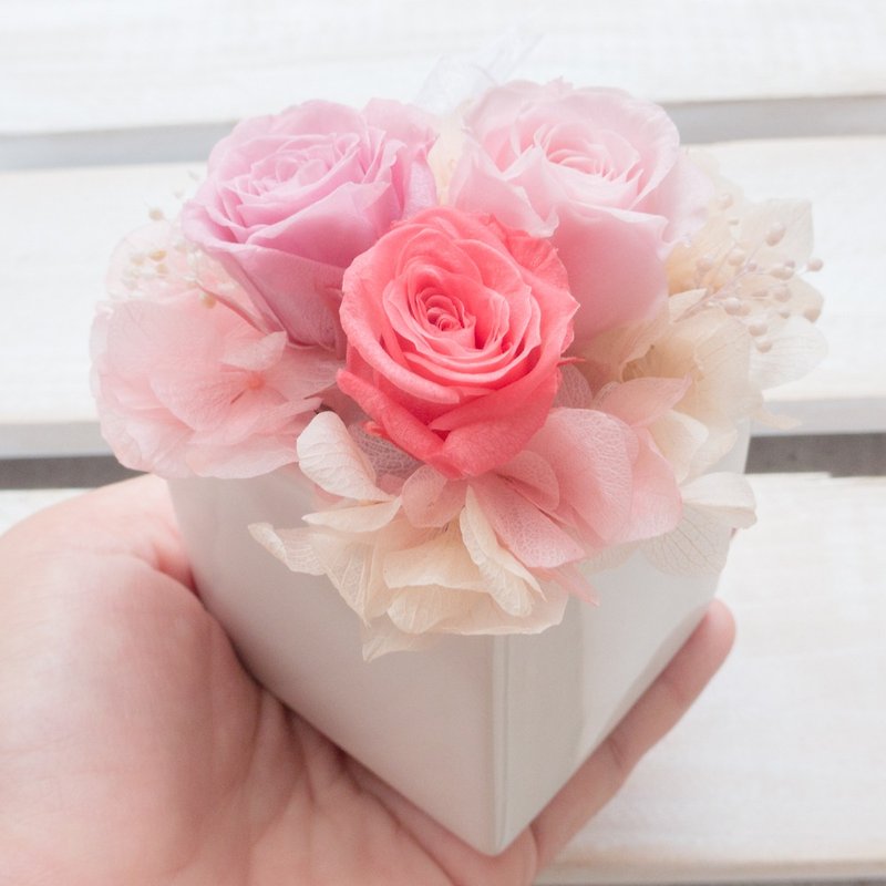 永遠のバラの鉢植えフラワー ウェディングブーケ バレンタインデー プロポーズ 告白 母の日 誕生日 卒業祝い ギフト - ドライフラワー・ブーケ - 寄せ植え・花 ピンク