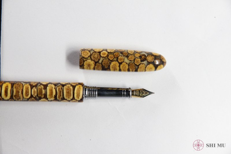 Longan wood fountain pen - Fountain Pens - Other Materials 