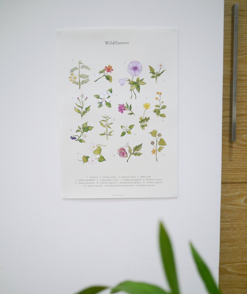 flower plant poster - โปสเตอร์ - กระดาษ 