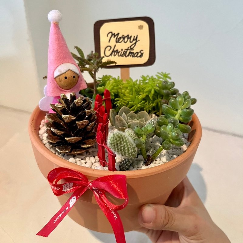 Christmas Christmas gift angel pine cone festive gift succulent group pot succulent creative potted plant - ตกแต่งต้นไม้ - พืช/ดอกไม้ สีเขียว