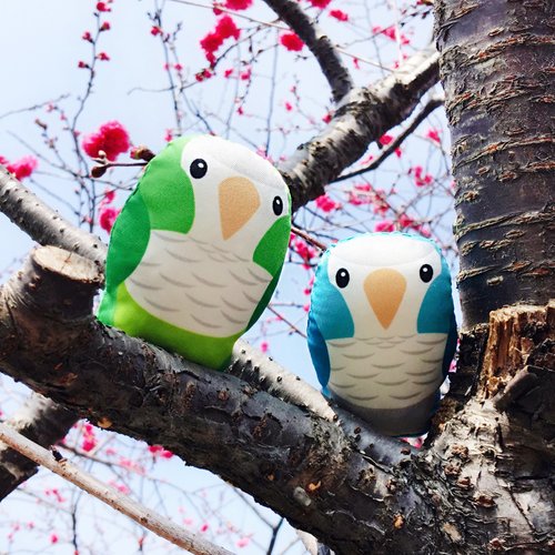 鸚 Parrot Piece DIY手作鸚鵡 ∣ 和尚鸚鵡 Monk ‧ 紙鎮手作材料包