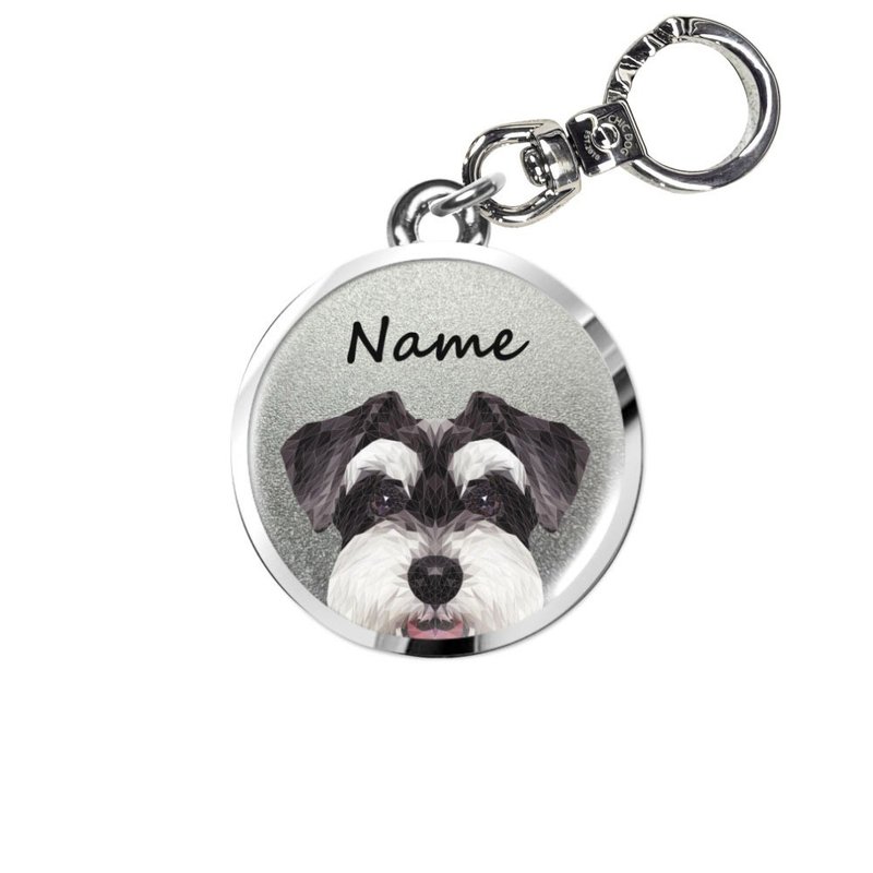 Big face - activity buckle name tag (2.5 / 3 / 4 CM) - Collars & Leashes - Other Metals Multicolor