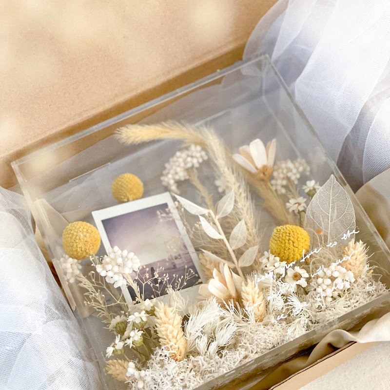 Facing the morning light x non-withering dried flower transparent flower frame - กรอบรูป - อะคริลิค 