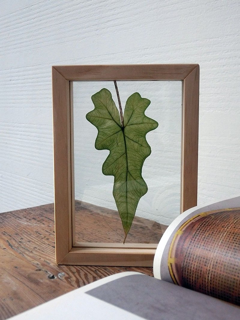 Solid Wood Flower Frame | Jacklin Guanyin Lotus | Plant Illustrated Flower Frame - ช่อดอกไม้แห้ง - พืช/ดอกไม้ สีเขียว