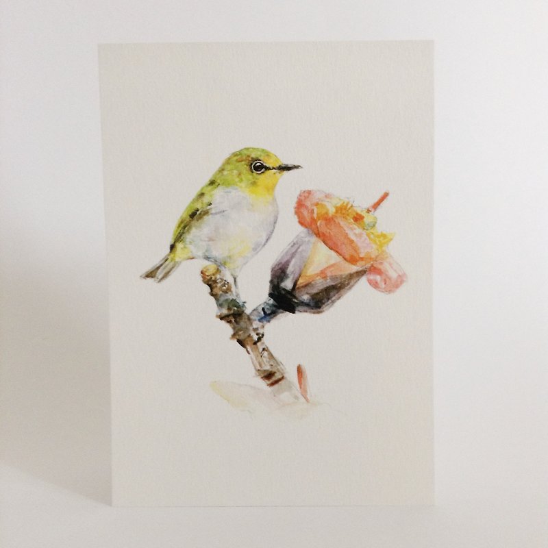 Bird ‧ postcard ‧0084 - การ์ด/โปสการ์ด - กระดาษ 