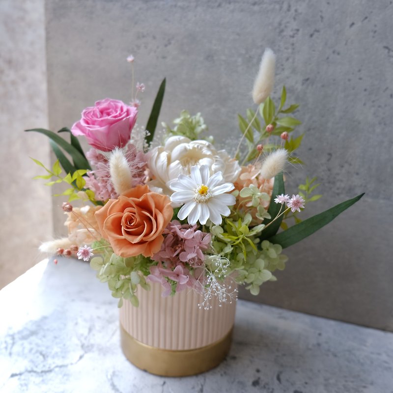 [Dry potted flowers] dried flowers/immortal flowers/potted flowers/opening potted plants/fresh/gift/comfortable - Plants - Plants & Flowers Pink