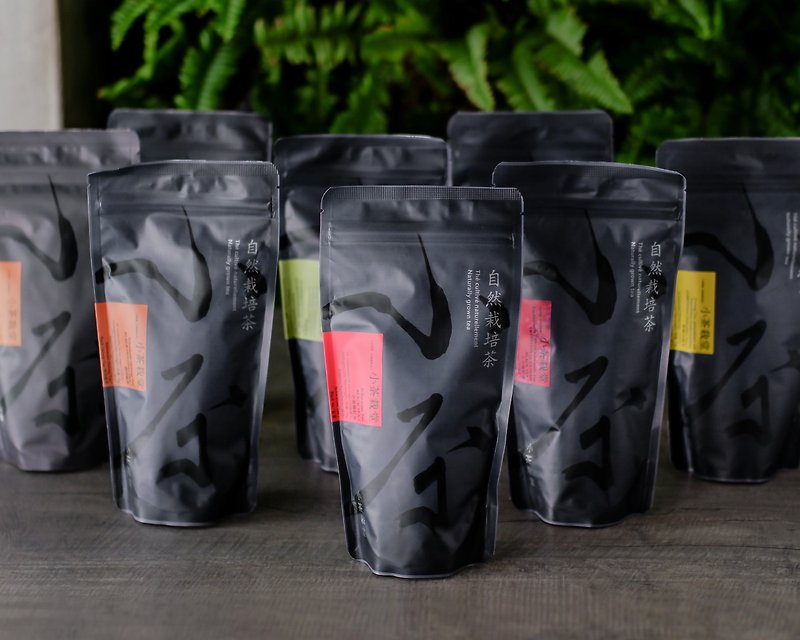 【組合包】袋茶補充包 5包組(125入茶包) - 茶葉/茶包 - 新鮮食材 黑色