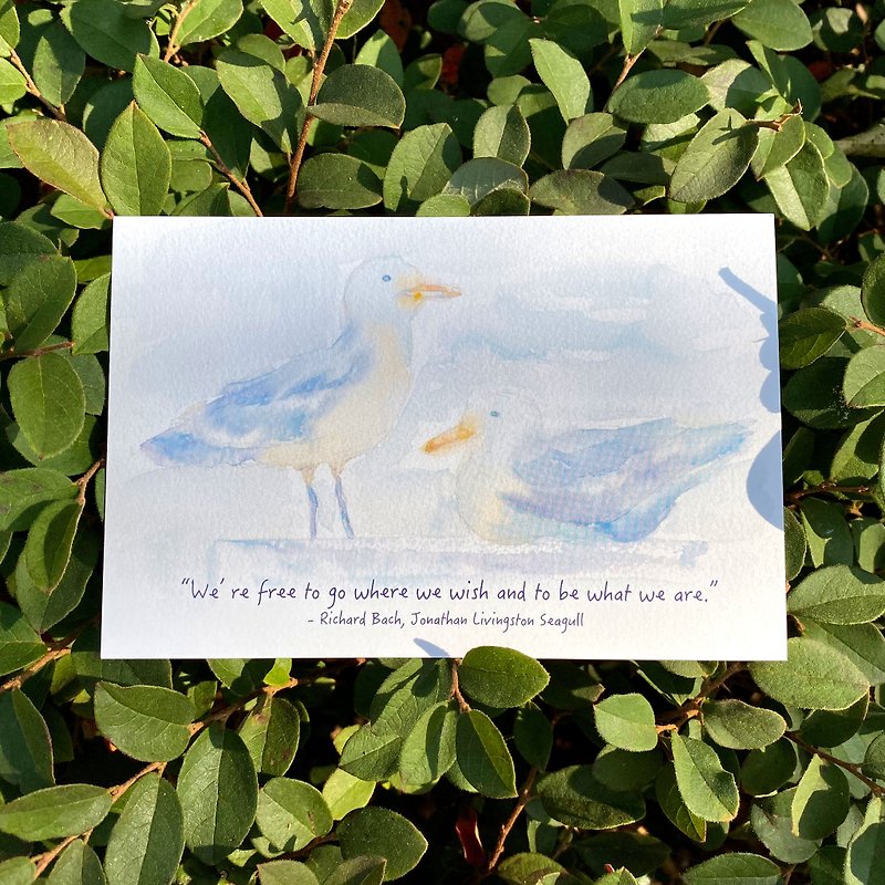 はがきカード水彩画カモメかわいい動物 - カード・はがき - 紙 ブルー