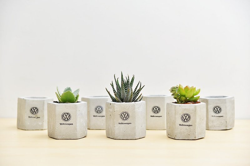 Car dealers show car gift / customized mass order Taiwan design basin - Plants - Cement Gray