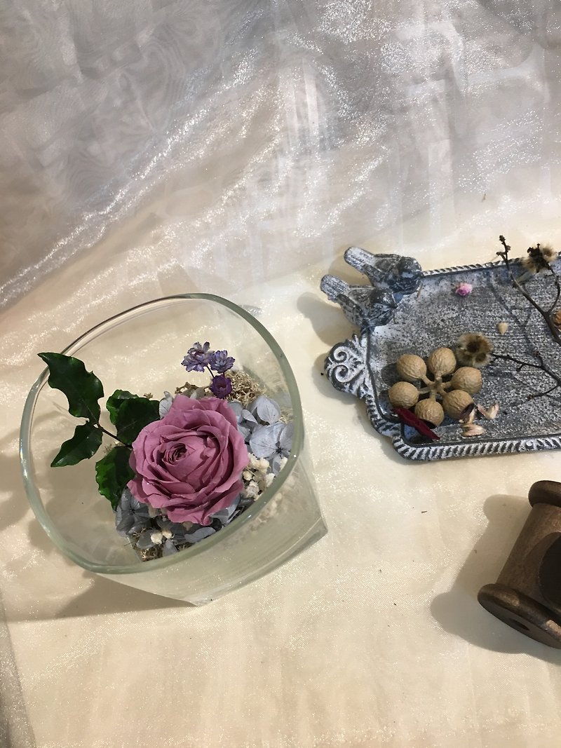 【杯中花】母親節/畢業/情人節/不凋花/玫瑰/交換禮物 - 裝飾/擺設  - 植物．花 