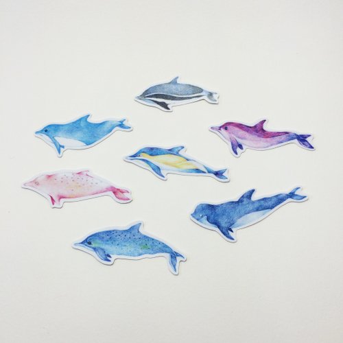 Taiwan&amp;#39;s dolphin sticker* Kuroshio collaboration product