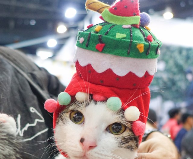 カスタマイズされたバースデーケーキハットペットの猫と犬の帽子の