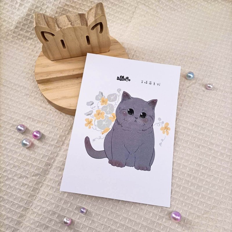 ME183-37_我紙在乎你百喵萌明信片_ill.timing Hundred meow cute postcard - การ์ด/โปสการ์ด - กระดาษ หลากหลายสี