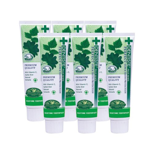 聚德富 DENTISTE'牙醫選夜用牙膏100g (6入組)
