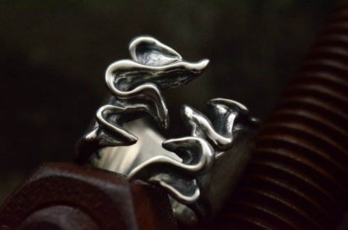 Nadleeh Design 嚴龍戒指 Avage Titanota ring