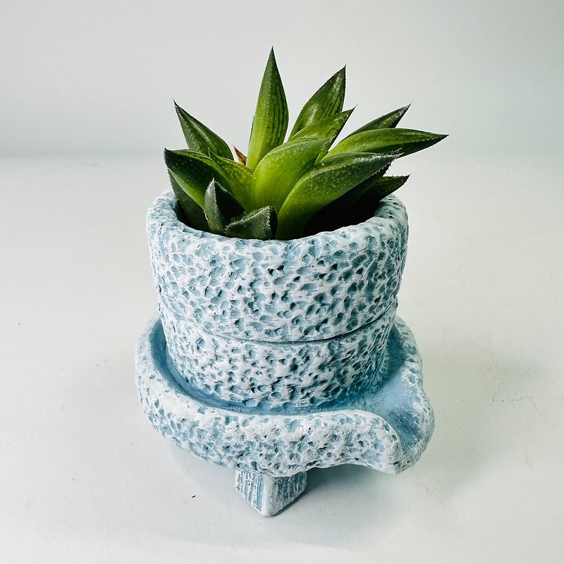Seedlings succulent lily mini blue Stone Cement pot containing plant potted gardening succulent plant potted - ตกแต่งต้นไม้ - พืช/ดอกไม้ สีน้ำเงิน