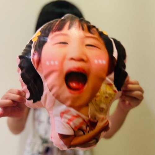 HanJu's羊毛兒 Hanju's羊毛兒。客製化抱枕 模擬抱枕 寶寶/小孩/寵物 娃娃鑰匙圈