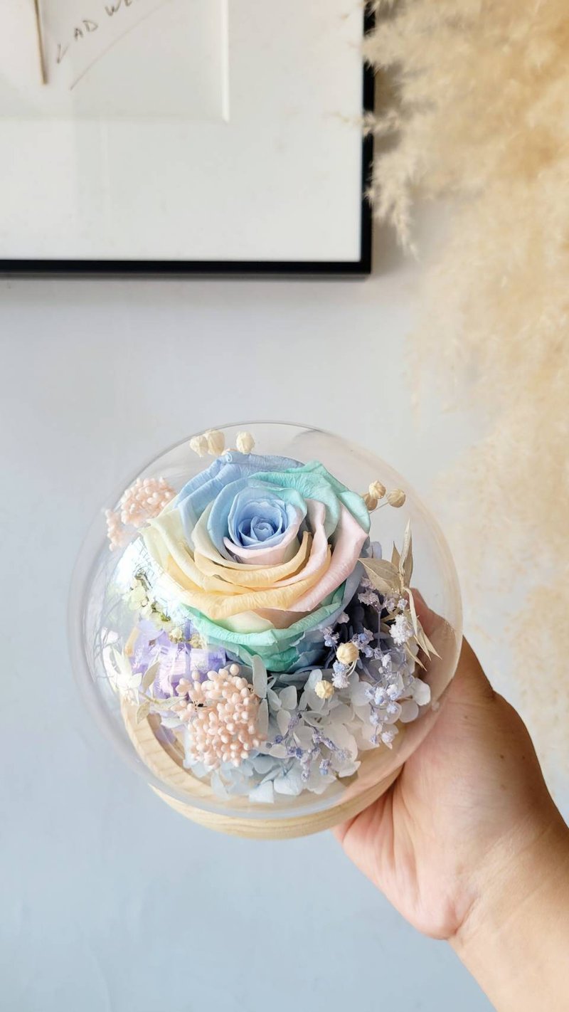 Hai Zang Design│Rainbow Macaron Tone. Eternal Rose Glass Ball - ช่อดอกไม้แห้ง - พืช/ดอกไม้ หลากหลายสี