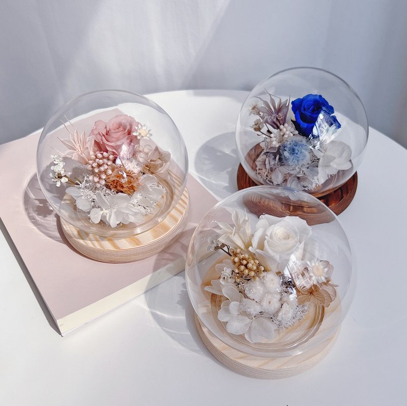 Graduation Gift/Customized Gift Preserved Flower Ball Glass Bell Jar-Multicolor - ช่อดอกไม้แห้ง - พืช/ดอกไม้ สึชมพู