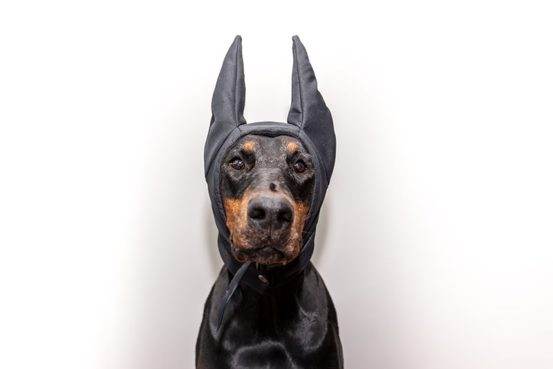 Black Doberman Winter Hat Doberman Warmer Pitbull Hat Doberman Winter Snood Dog - ชุดสัตว์เลี้ยง - ไนลอน สีดำ