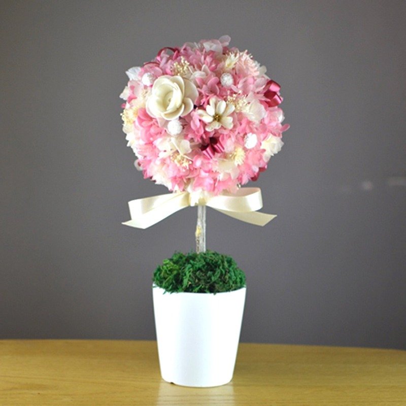 Chun Yang fragrant flowers tree - sweet pink fragrant incense - ตกแต่งต้นไม้ - พืช/ดอกไม้ สึชมพู