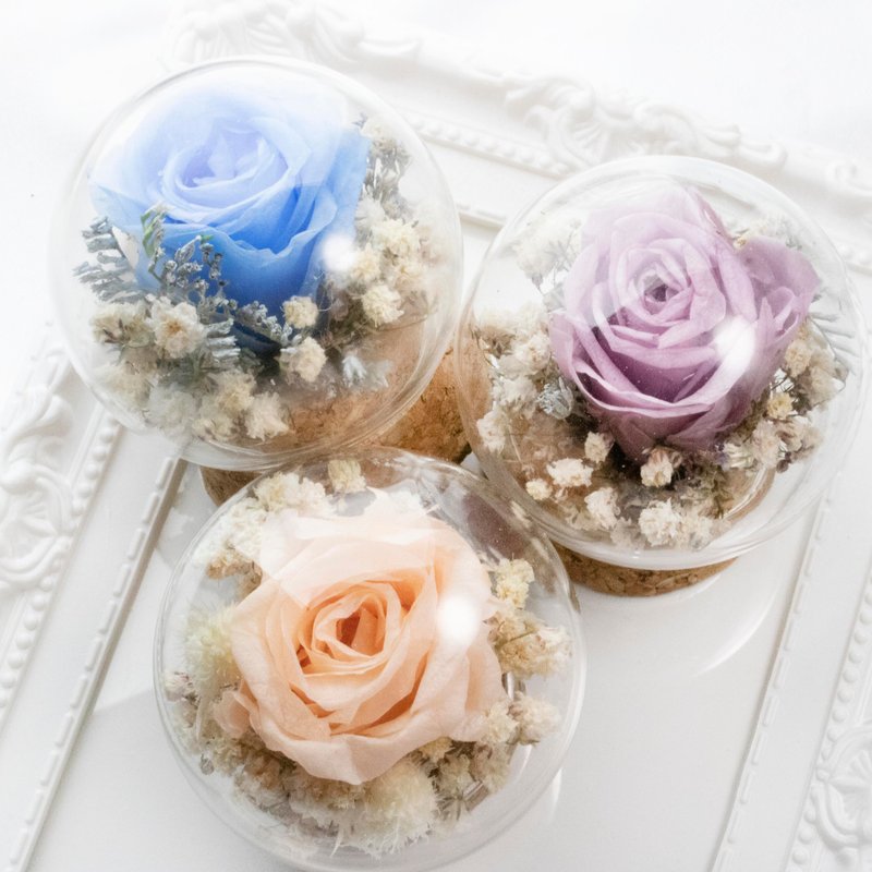 [Customized] Greenery Maze Palm Garden Rose Crystal Ball Immortal Flower Dried Flower - ของวางตกแต่ง - พืช/ดอกไม้ หลากหลายสี