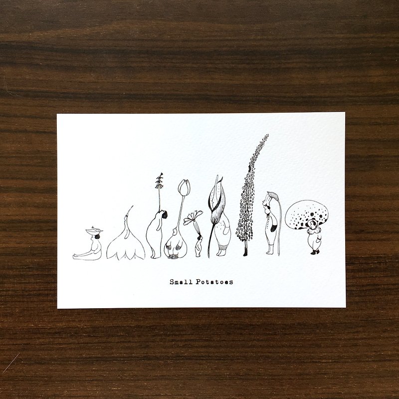 Small Potatoes postcards/flowers/flower/black and white - การ์ด/โปสการ์ด - กระดาษ ขาว