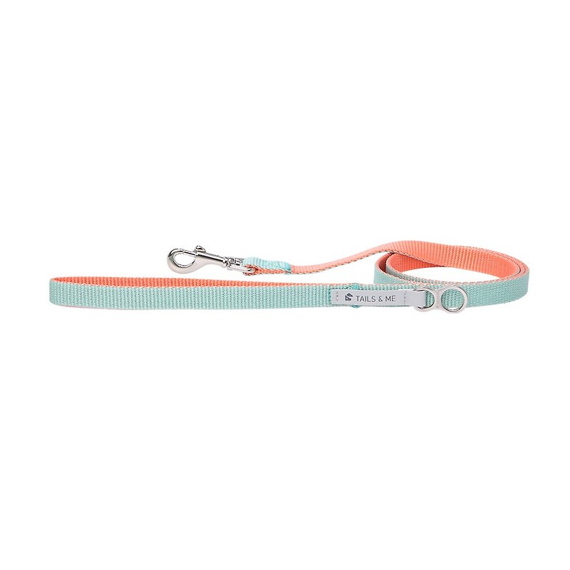 [Tail and me] Classic nylon belt leash pink / mint L - ปลอกคอ - ไนลอน 