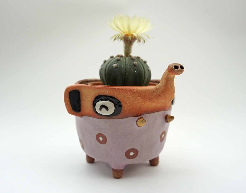 Elephant plant pot handmade ceramic - 植物/盆栽/盆景 - 陶 紫色