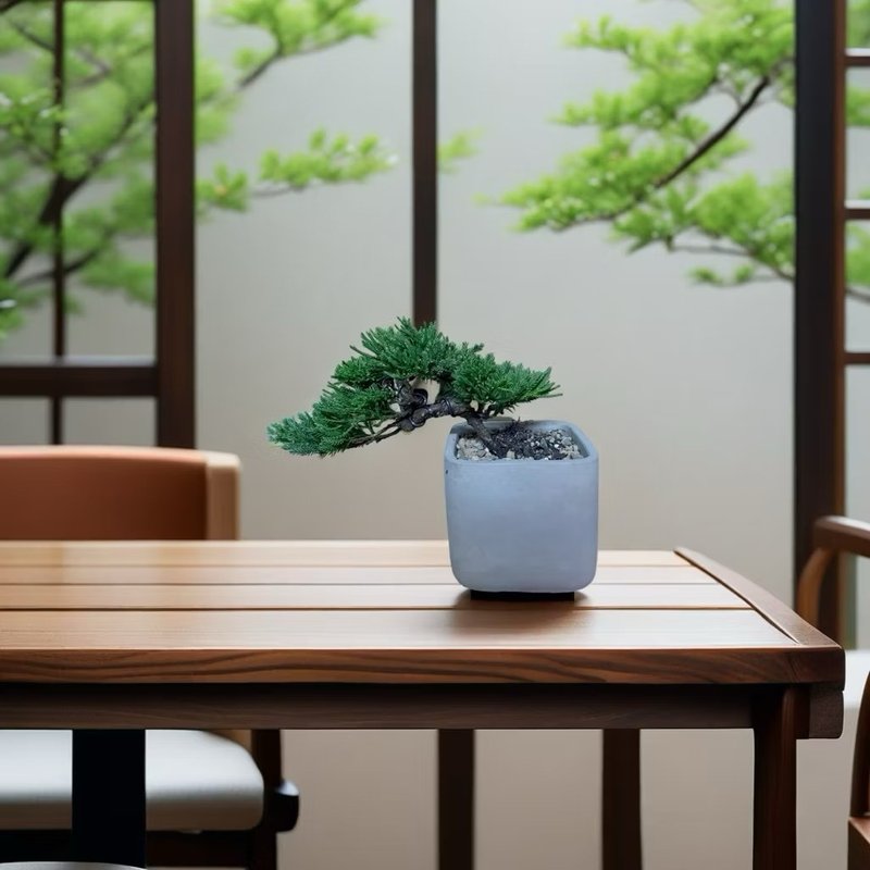 【専門家が手掛ける優雅な盆栽】真柏の小品 卓上盆栽 開店祝い 新築祝い 引っ越し祝い 昇進祝い ギフト - 観葉植物 - 陶器 