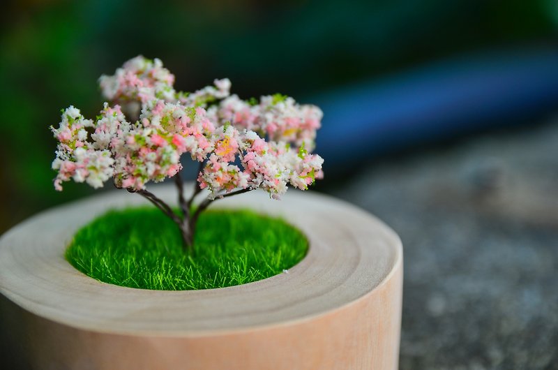 From the tree of life - camphor potted plants (including life tree planting, handmade) - ของวางตกแต่ง - ไม้ สีนำ้ตาล