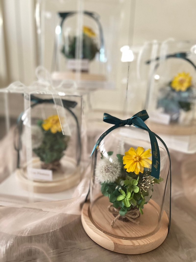 Everlasting flower, immortal flower, dandelion cup cover, Christmas exchange gift giving opening - Plants & Floral Arrangement - Plants & Flowers Yellow