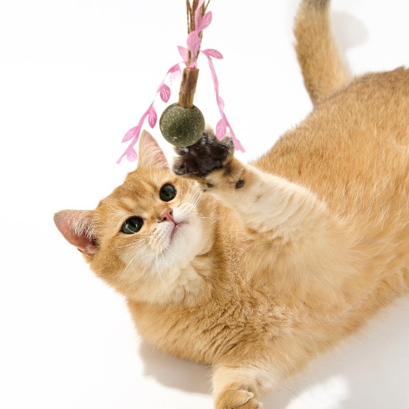 【LUUKS UP】願望種子貓玩具 | 每一顆種子都代表著不同心願 - 貓/狗玩具 - 其他材質 多色