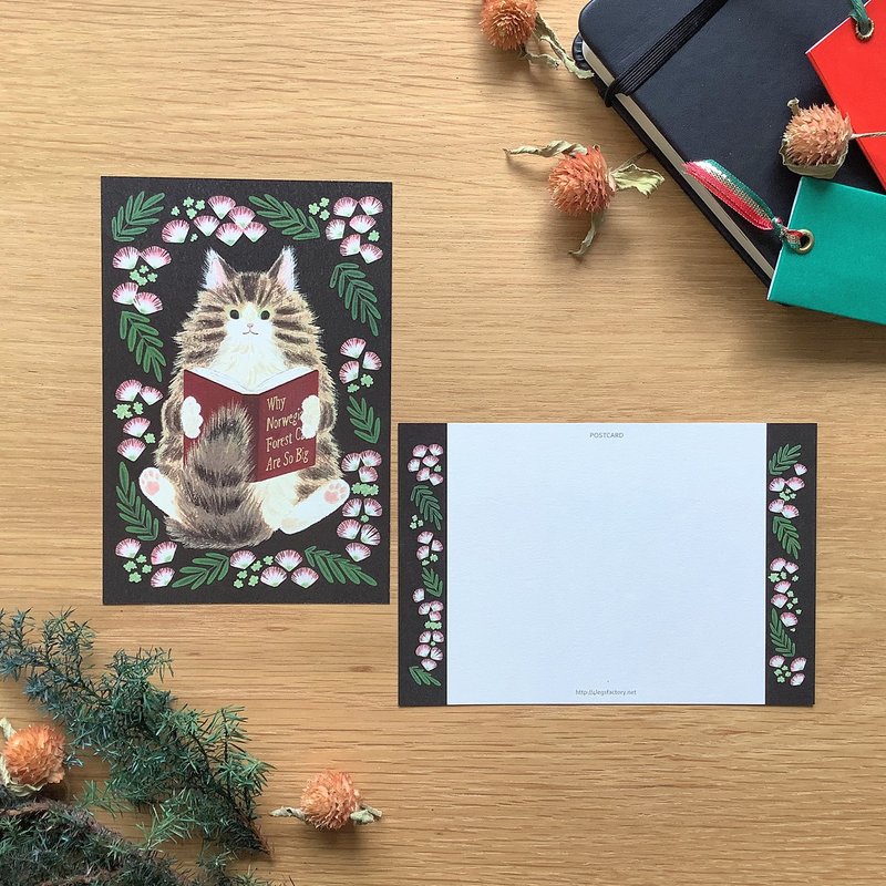 ポストカード　絵本の中のねこ　#new11 ノルウエージャンと本 - 卡片/明信片 - 紙 