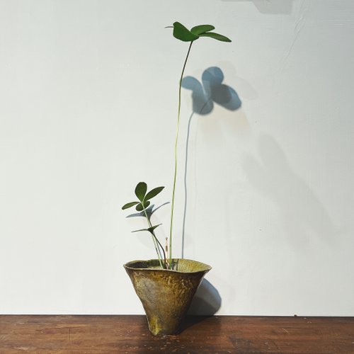 豐茶陶 柴燒花器遇見鱗秕澤米鐵植球