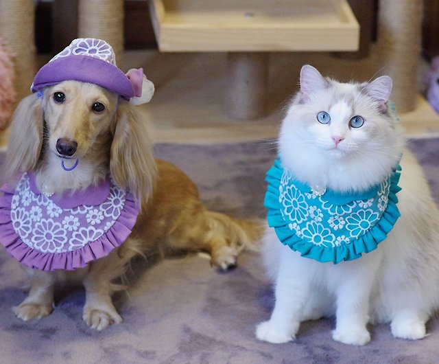 ハンドメイド　Princessdress　犬服　猫服　ブルー　コットン　レース