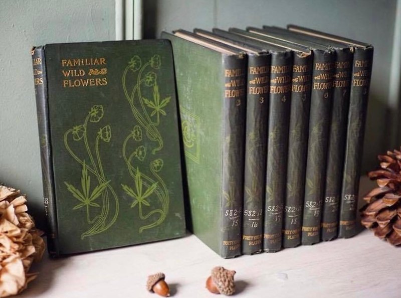 British 1920 antique flower book-more books have a discount - หนังสือซีน - กระดาษ 