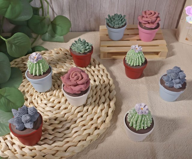 在庫あり) クリームソイル 多肉植物 ディフューザー フラワー 鉢植え - ミニポット - ショップ sweetie.pie.handmade 置物  - Pinkoi