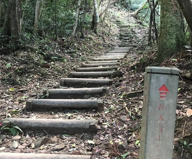 體驗 淡蘭古道中路一日遊 暖暖支線 設計館趣健行 深度旅遊 Pinkoi