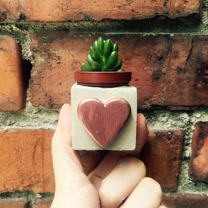 Rose Gold love heart! Succulent magnet potted plant - ตกแต่งต้นไม้ - ปูน สึชมพู