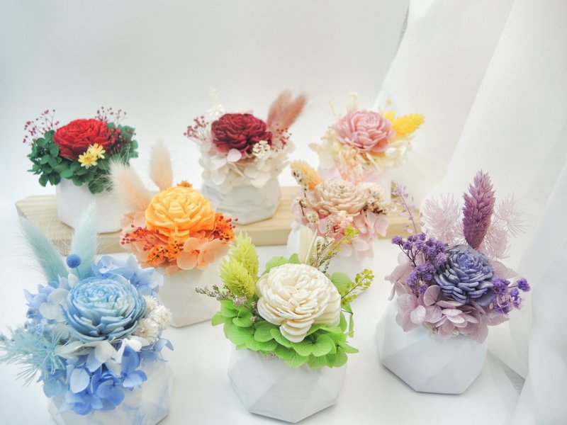 Diffuse potted flowers, diffused flowers, immortal dry flowers, small things on the table - น้ำหอม - พืช/ดอกไม้ หลากหลายสี