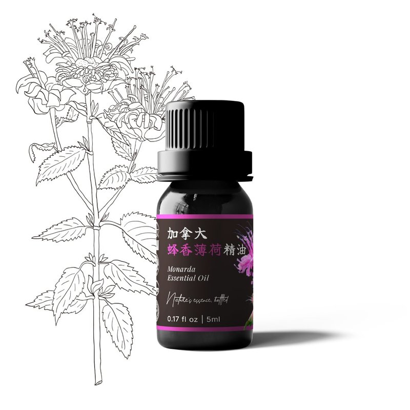 【卡佛香】加拿大蜂香薄荷精油 - 香氛/精油/擴香 - 玻璃 黑色